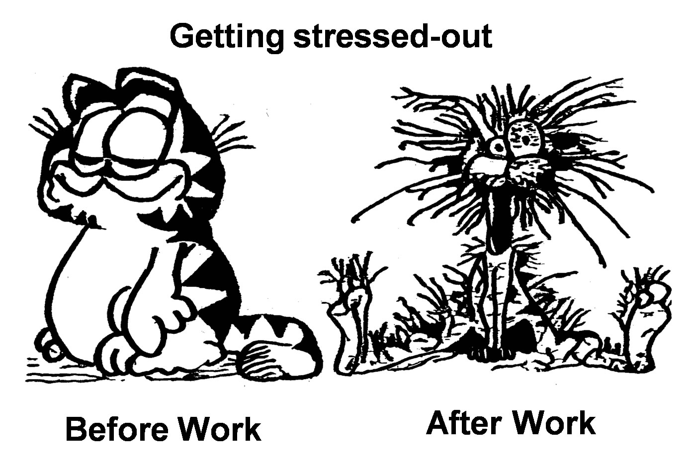Stressed_or-Not.jpg