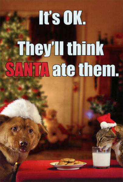 cd9859-dog-and-cat-eating-santas-cookies-christmas-card.jpg