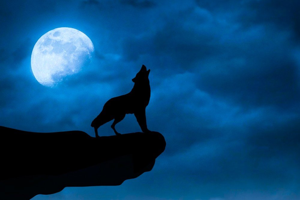 Howling-wolf.jpg-.jpg