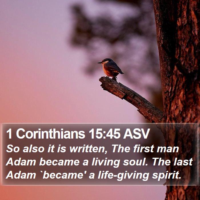 1-Corinthians-15-45-ASV-So-also-it-is-written-The-first-man-Adam-became-I46015045-L01.jpg