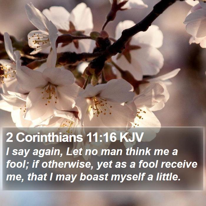 2-Corinthians-11-16-KJV-I-say-again-Let-no-man-think-me-a-fool-if-I47011016-L01.jpg