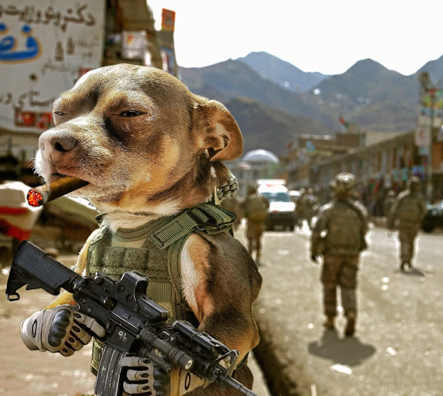 Dogs_Dogs_With_Guns_01.jpg
